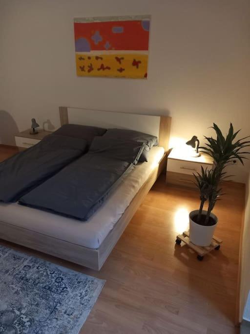 Im Gruenderzeitviertel Mit Stellplatz Apartamento *