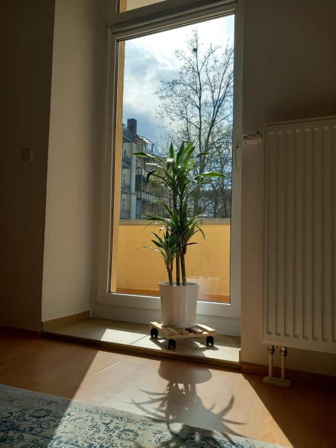 Im Gruenderzeitviertel Mit Stellplatz Apartment Chemnitz
